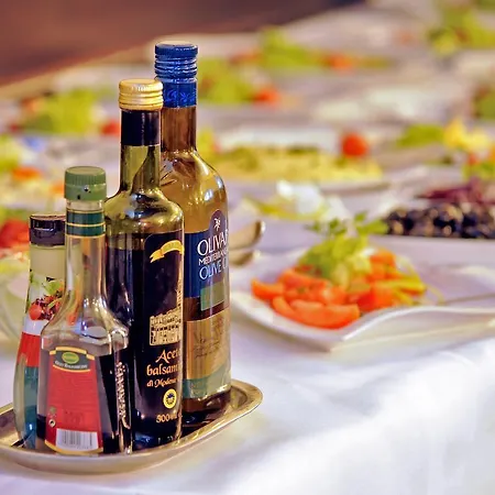 酒店 查尔达施spa及康体酒店 4*